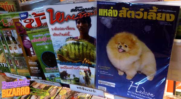Revistas de perros