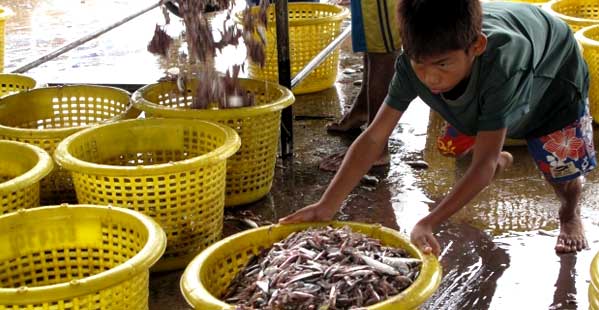 El sector pesquero lo trabajan inmigrantes birmanos y camboyanos. A veces niños. Y muchos trabajadores mueren en alta mar por el maltrato de sus patrones. Foto: Irrawadi.