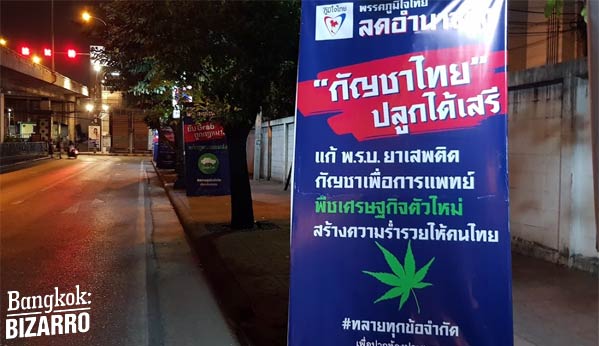 Partido político Tailandia marihuana