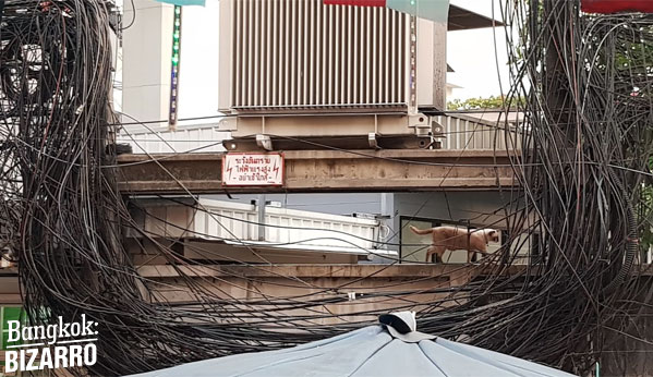 cables Bangkok